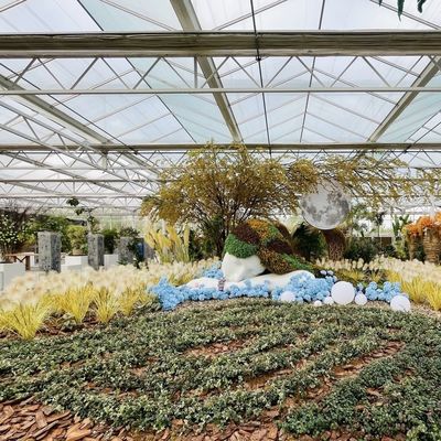 植物栽培のための水培式ガラス温室 30 日間の返品 型屋根の返金
