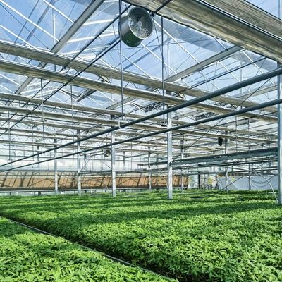 植物栽培のための二層多システムガラス温室 初期支払いが必要