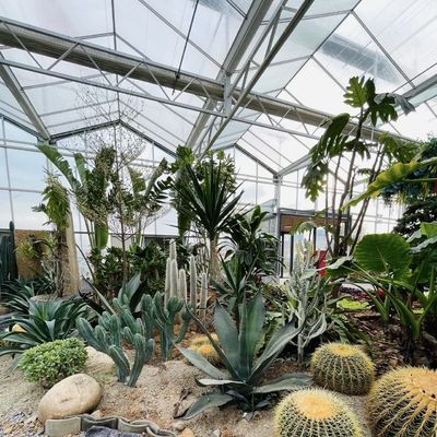 花のシステムとカスタマイズされた屋根の形状のガラス温室