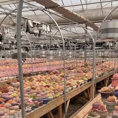 グラス温室水栽培システム 植える花の種類 屋根 オーダーメイド要求