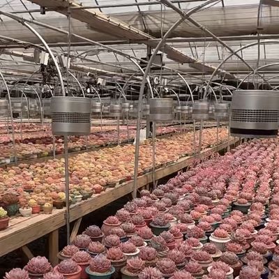 グラス温室水栽培システム 植える花の種類 屋根 オーダーメイド要求