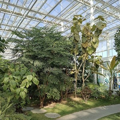 グラス温室水栽培システム 植える花の種類 屋根 オーダーメイド要求