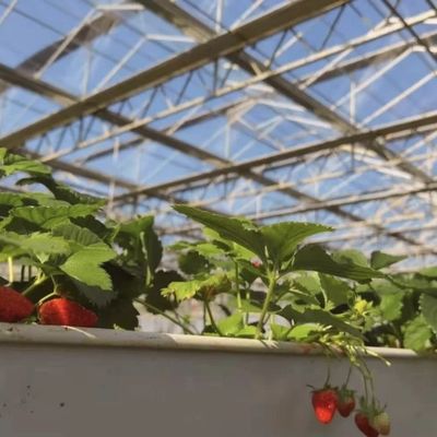 グラス温室水栽培システム 植える花の種類 屋根 オーダーメイド要求