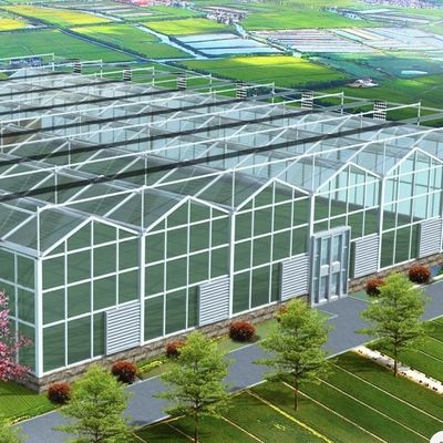 二層ガラスの温室水栽培システム 花栽培 30 日払い戻し