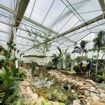二層ガラスの温室水栽培システム 花栽培 30 日払い戻し
