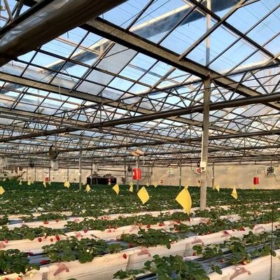 多システムガラス温室 花のためのカスタマイズ あなたの仕様に合わせた