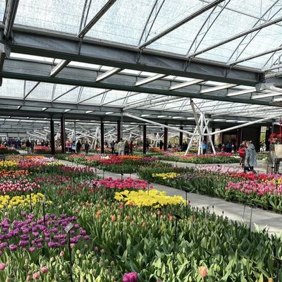 多システムガラス温室 花のためのカスタマイズ あなたの仕様に合わせた