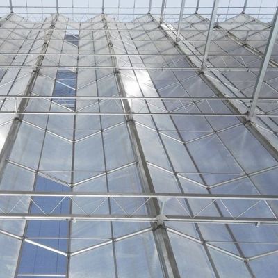 花を栽培するためのガラス屋根温室 初期支払いと手頃な送料