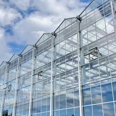 野菜栽培のための単層ガラス温室 農業の効率を向上させる