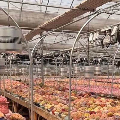 野菜のための浮遊ガラス温室 多スパン設計 オーダーメイド要求 受け入れ