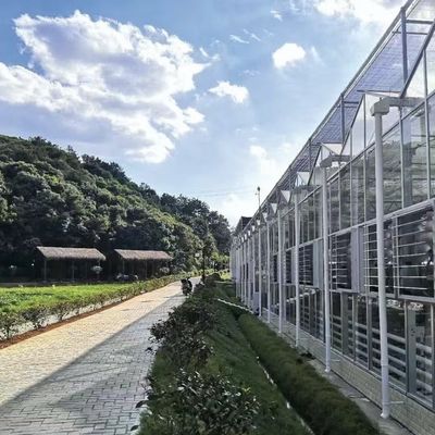 野菜のための浮遊ガラス温室 多スパン設計 オーダーメイド要求 受け入れ