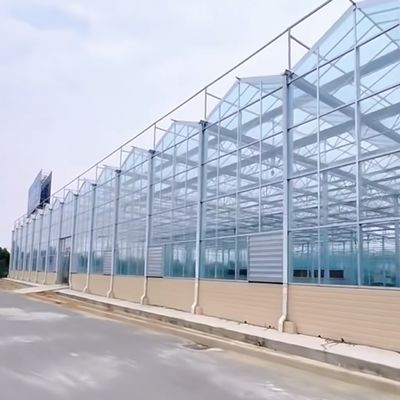 大型シェーディングスクリーン ガラス温室水栽培システム 最適な作物栽培