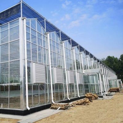 滴水灌輸ガラス温室 商業温室の設置のための個人向け要求