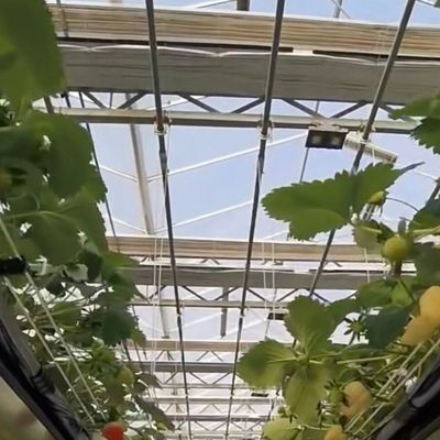 ガラスの温室水栽培野菜の設置 送料と推定納期