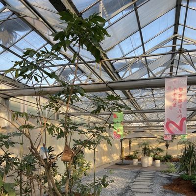 ガラスの温室水栽培野菜の設置 送料と推定納期