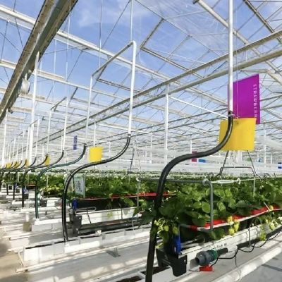 ガラスの温室水栽培野菜の設置 送料と推定納期