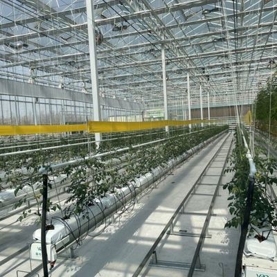 高光伝達性のガラス温室 野菜 返金 30 日まで