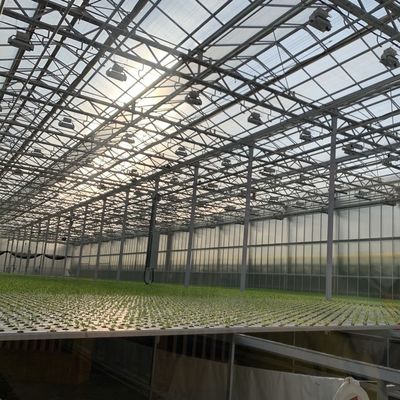 水栽培 野菜 セットアップ の 滑らかな ガラス 温室 農業 の 効率 を 向上 させる