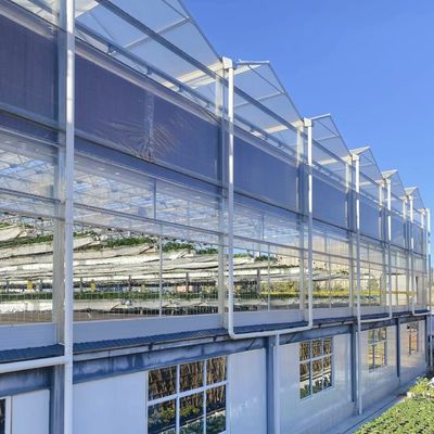 水栽培 野菜 セットアップ の 滑らかな ガラス 温室 農業 の 効率 を 向上 させる