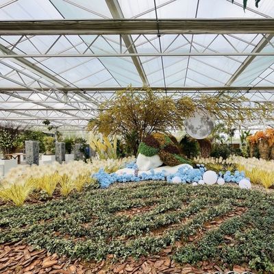 植物育成のための鋼構造のガラス温室 大規模で多機能