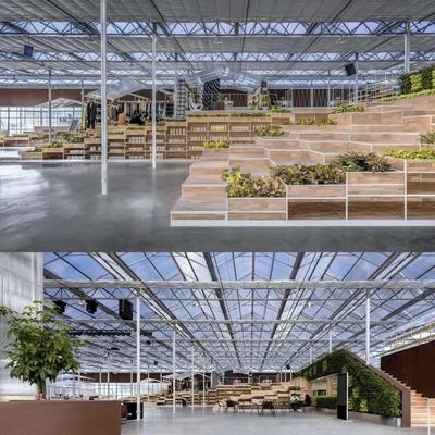 植物育成のための鋼構造のガラス温室 大規模で多機能