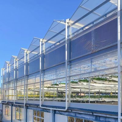 最大水効率のためのガラス温室水栽培野菜システム