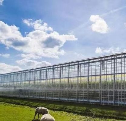 シェーディングスクリーンシステム付きの水栽培ガラス温室 パッケージ総重量8万kg