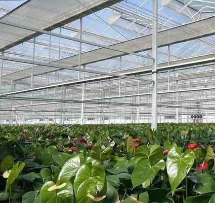 シェーディングスクリーンシステム付きの水栽培ガラス温室 パッケージ総重量8万kg