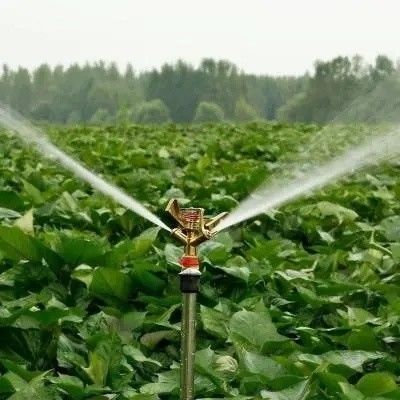 シェーディングスクリーンシステム付きの水栽培ガラス温室 パッケージ総重量8万kg
