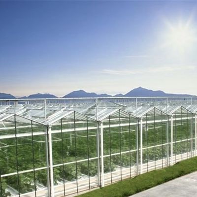 高級 水素 栽培 野菜 の 成長 方法