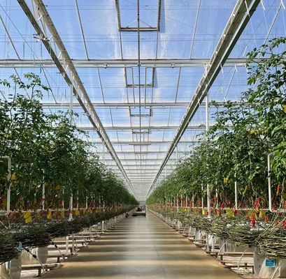 US フローティング・シングル・スパンの温室 野菜/果物/花 返還
