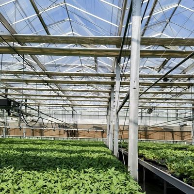 マルチスペン 現代のガラス温室 水育植物システム 市場向け マルチスペン
