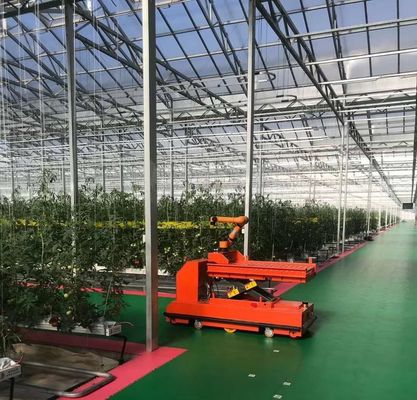 商業温室 JX-h0075 野菜生産のための水素栽培システム