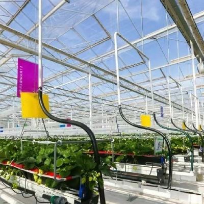 屋根の形 A型 屋根の水栽培システム グラス温室野菜