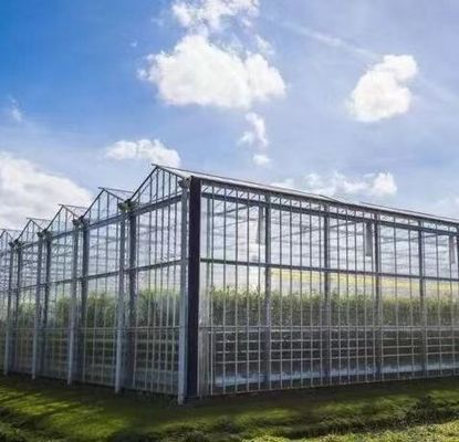 鉄鋼構造 水素栽培野菜栽培のためのヴェンロ水素栽培栽培システム