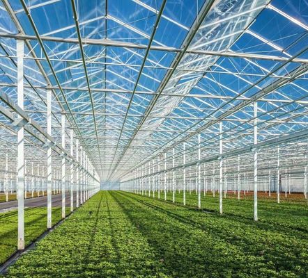 鉄鋼構造 水素栽培野菜栽培のためのヴェンロ水素栽培栽培システム