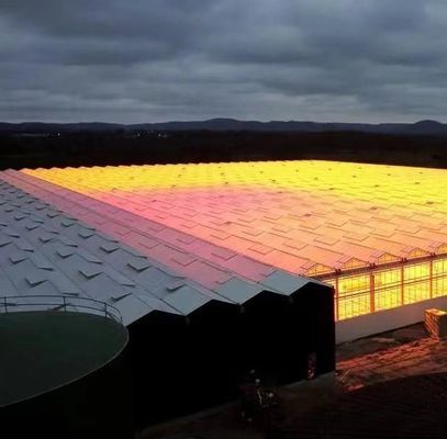 鉄鋼構造 水素栽培野菜栽培のためのヴェンロ水素栽培栽培システム
