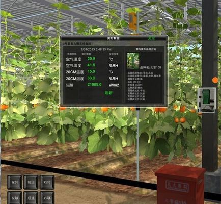 鉄鋼構造 水素栽培野菜栽培のためのヴェンロ水素栽培栽培システム