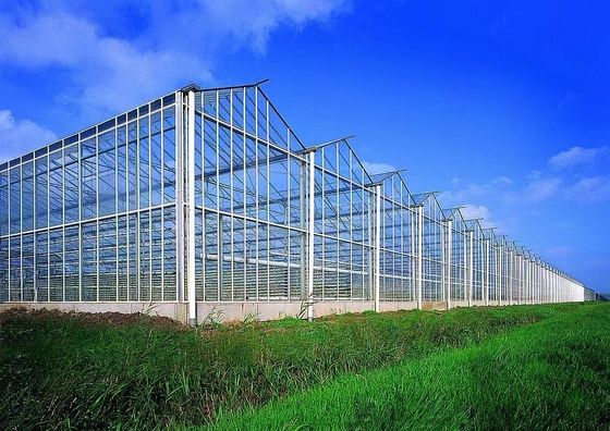 80.000kg パッケージ 総重量 水栽培と運送コストのガラス温室
