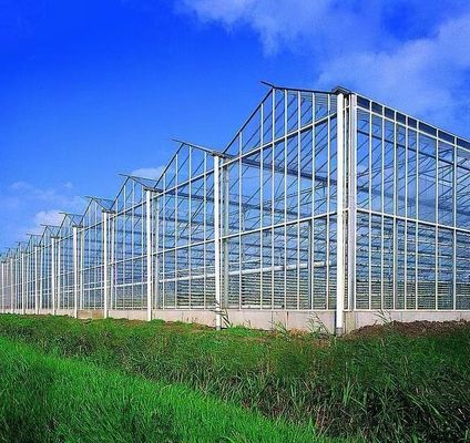 ドリップ灌輸と鉄鋼構造の二層野菜栽培温室