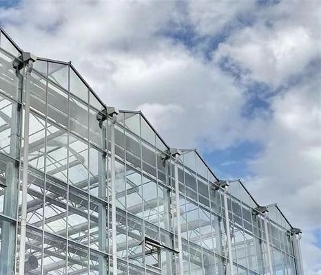 あなたの顧客の要求に適したタイプの屋根水栽培栽培システム