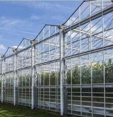 あなたの顧客の要求に適したタイプの屋根水栽培栽培システム