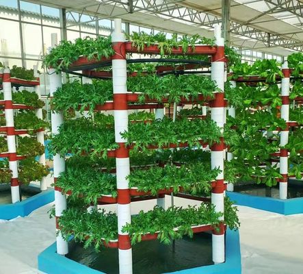 種子/野菜/果物/花 制御環境 水育種植温室