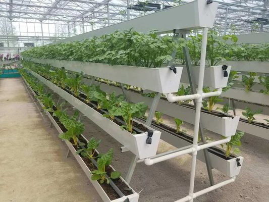 種子/野菜/果物/花 制御環境 水育種植温室