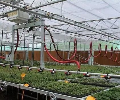 種子/野菜/果物/花 制御環境 水育種植温室