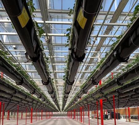 液体栽培の種植構造は,顧客の要求にぴったりです