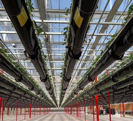 栽培方法 水栽培 US 野菜/花/果物のための規制されたガラス温室