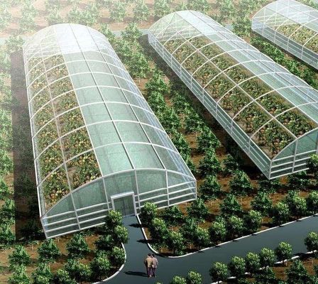 栽培方法 水栽培 US 野菜/花/果物のための規制されたガラス温室