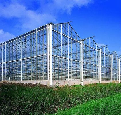 栽培方法 水栽培 US 野菜/花/果物のための規制されたガラス温室