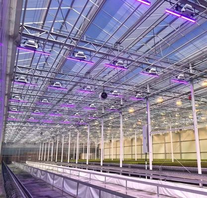 ベンロ様式 屋根 複層 プラスチックフィルム 水育種植システム 農業用